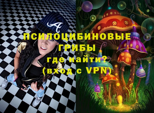 соль ск Белокуриха