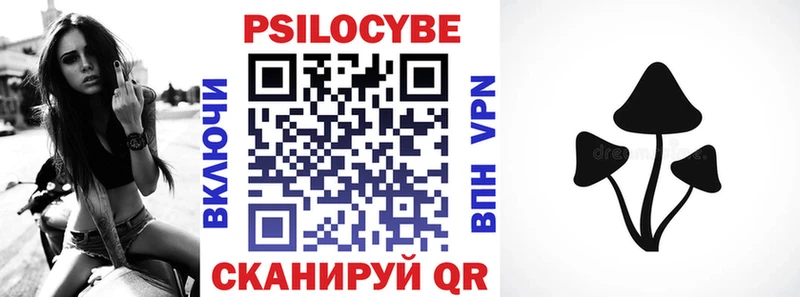 Галлюциногенные грибы Psilocybine cubensis  Белебей 